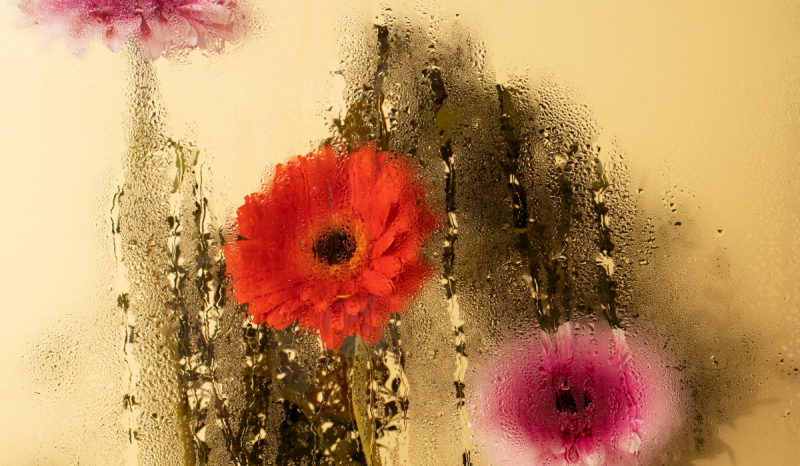 Modern Canvas Paintings to Redefine Your Living Space: ext_6929272 — LiveJournal