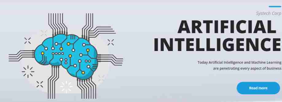 Systech Corp Cover Image