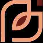 Peach Petals Profile Picture