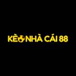Keonhacai88 cn com Profile Picture