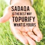 almustafa usa Profile Picture