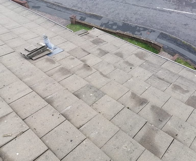 Professional Roof Leak Repair Near Me