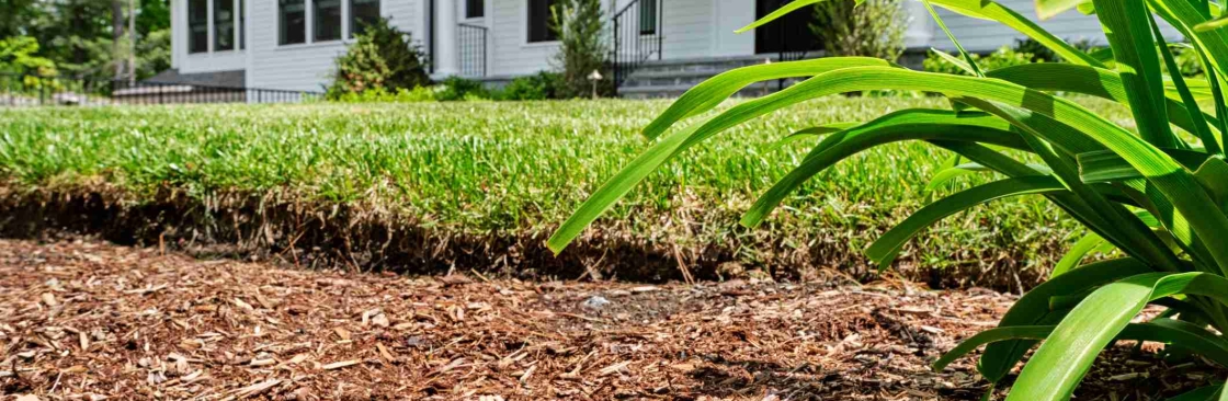 AJ Quality Arborists Cover Image