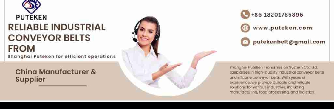 Shanghai Puteken Transmission System Co Ltd Cover Image