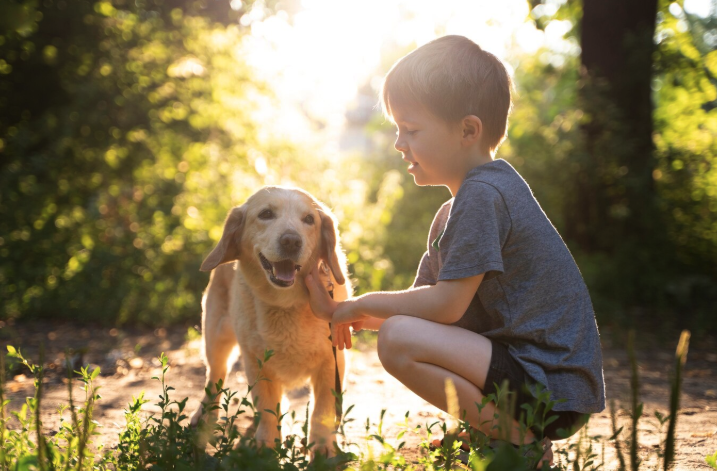 How to Teach Children About Animals – Raising Awareness with Pawrpose