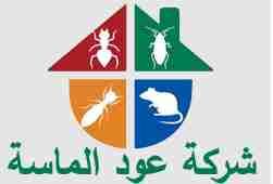 heba ismail Profile Picture