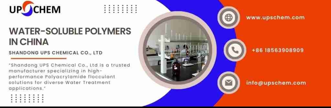 Shandong UPS Chemical Co Ltd Cover Image