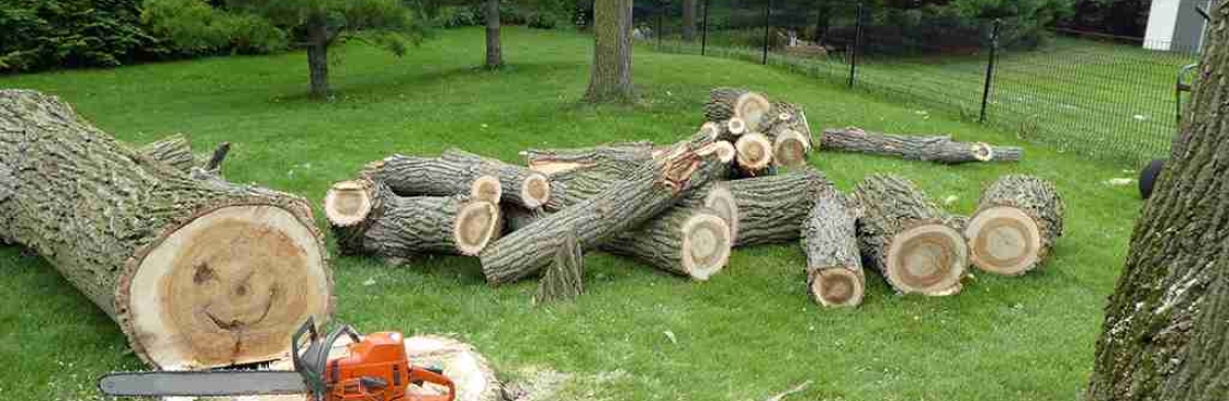 Maldonado Tree Service LLC Cover Image