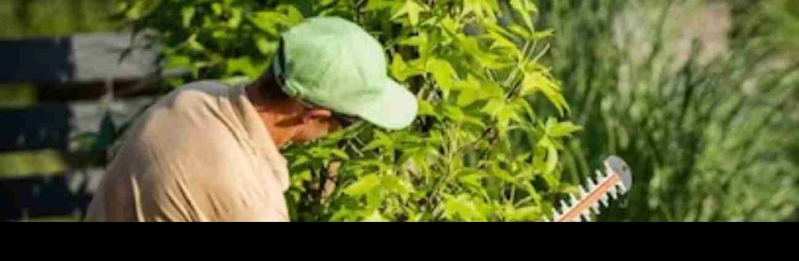 Alpha Arborcare LLC Cover Image