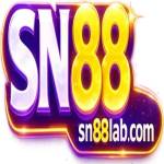 SN88 Profile Picture