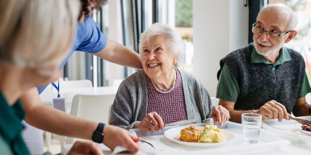 Elderly Home Care: The Ultimate Family Guide