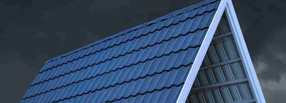 Roofi India Cover Image