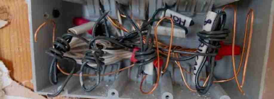 Ollies Electric Cover Image