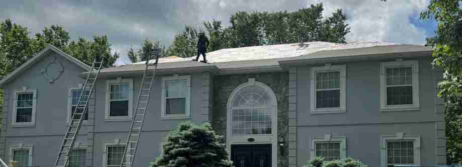 Roof Shark Cover Image