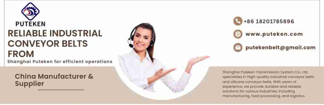 Rough Top Conveyor Belt Shanghai Puteken Cover Image