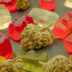 koitiokla Profile Picture