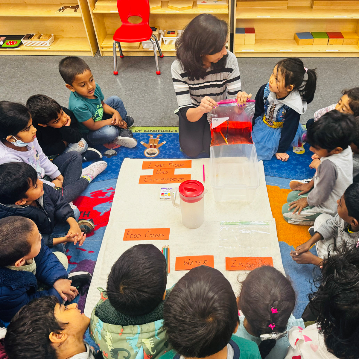 Fremont Montessori | Best Preschool & Daycare in Fremont, CA