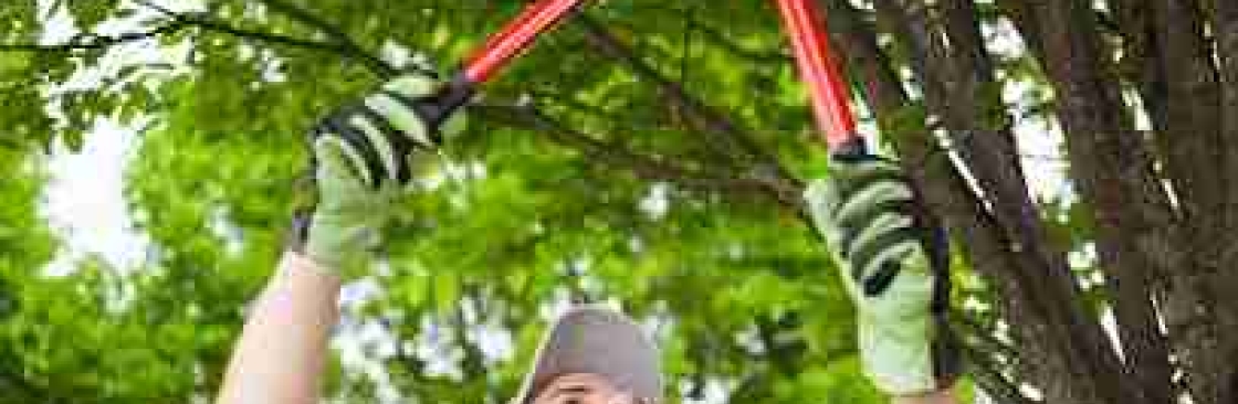 SB LAWN CARE INC. Cover Image