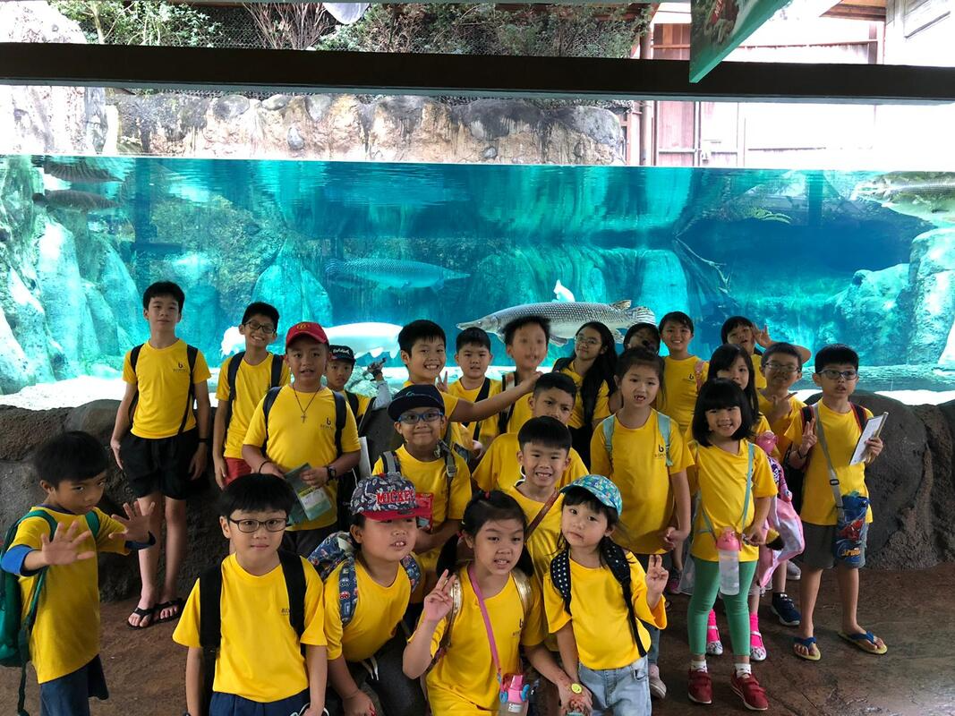 What Parents Should Look for in a Singapore Tuition Centre - PenCraftedNews