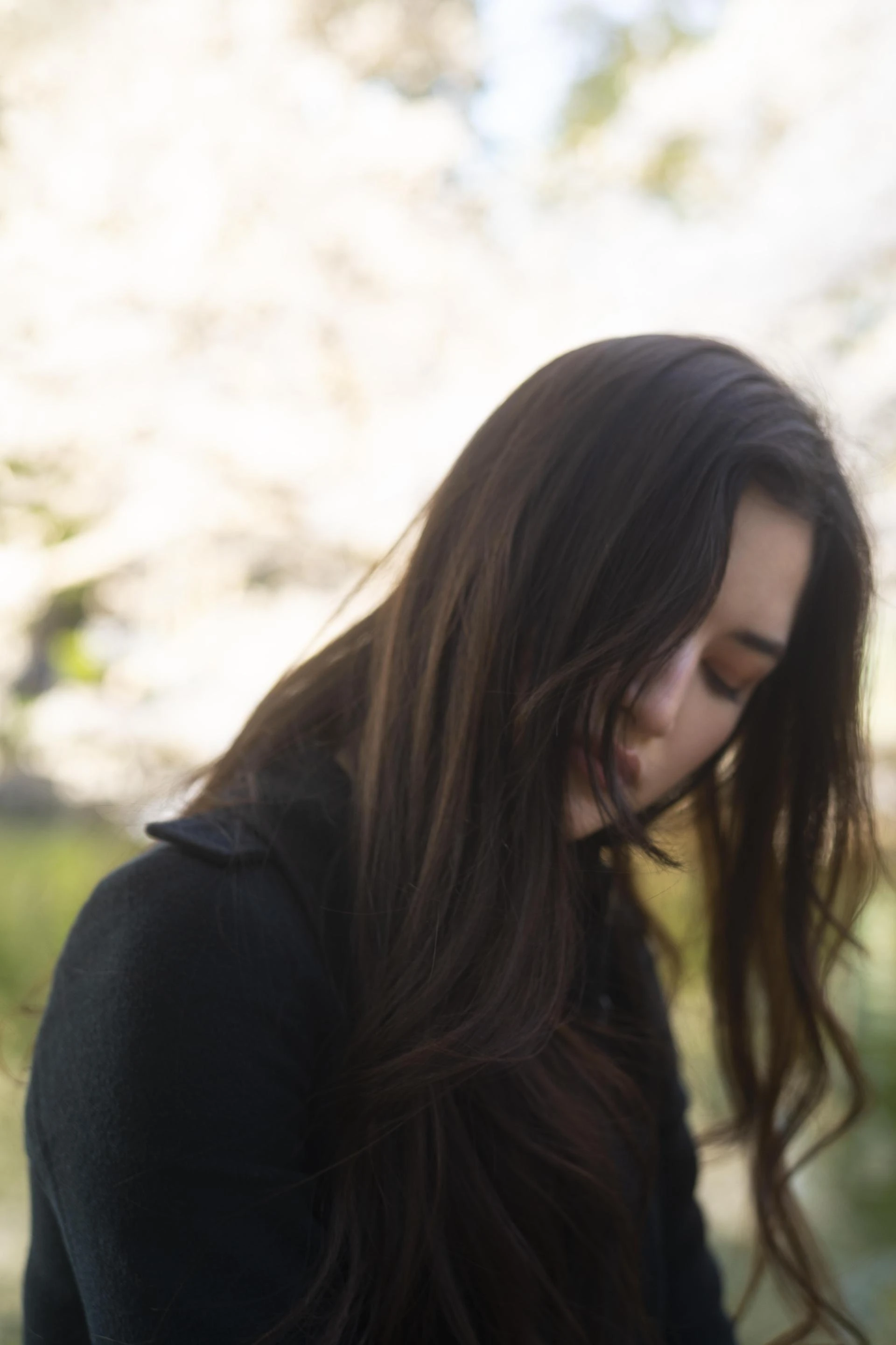 Banquet and Events Space in Morni Hills vs City Venues: What’s Better? -  TheOmniBuzz