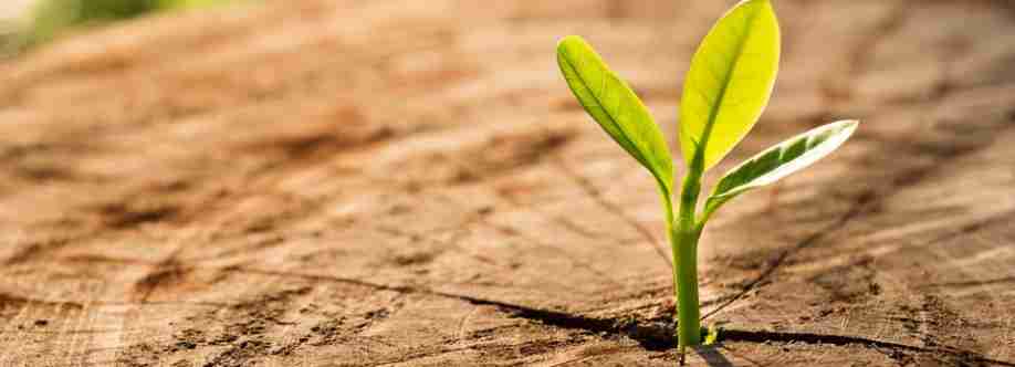 I Accountant Chartered Accountants Cover Image