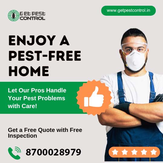 Best Pest Control in Noida | Services & Charges Price List 2026
