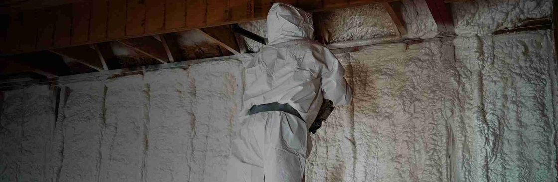 Nespor Contracting Inc Cover Image