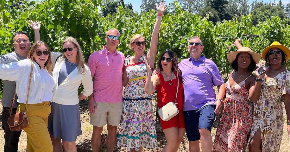 Private vs Group Northern Napa Valley Wine Tour: Which Is Better?