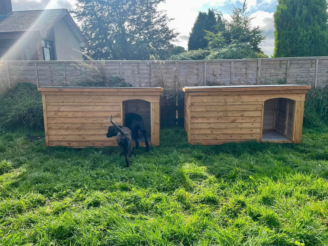 Durable Wooden Dog Kennels for Sale Dublin for Happy and Safe Pets – Dog Kennels Dublin