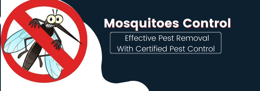 Expert Mosquitoes Control Service in Jaipur | UssPestCon