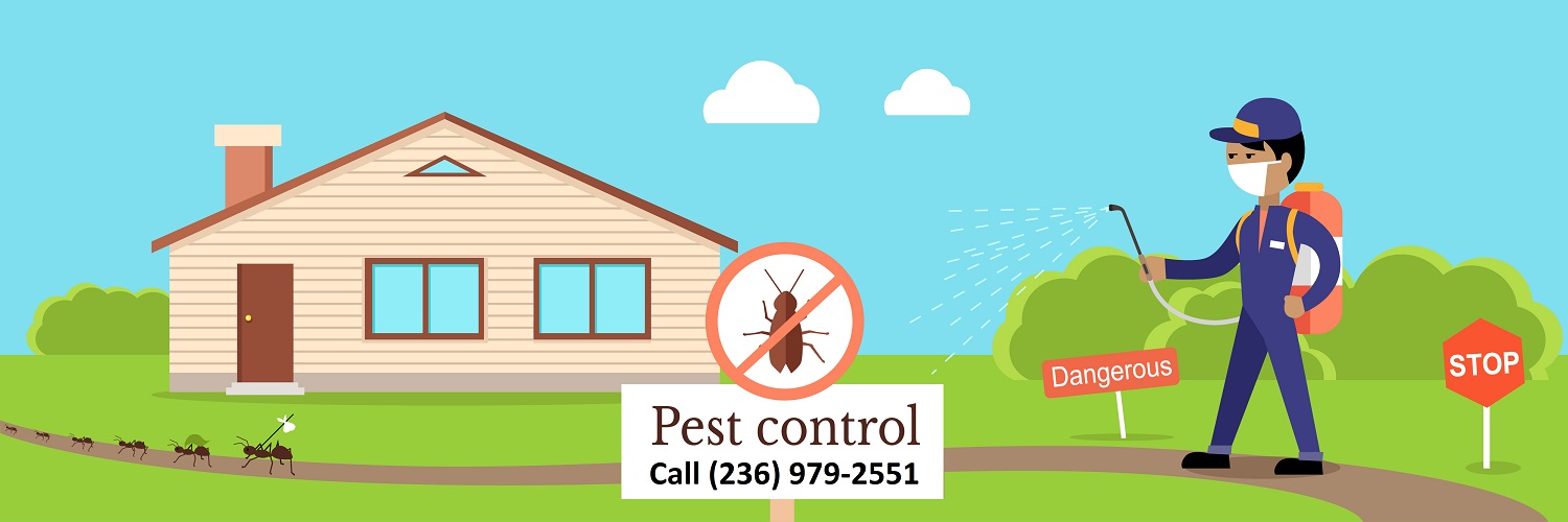Pest Control Burnaby, Residential & Commercial Pest Removal Burnaby