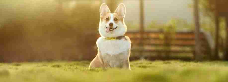 Happy House Sitters Cover Image