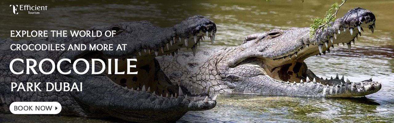 Dubai Crocodile Park Entry Tickets | Best Offers | Book Now