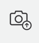 Pilgrim Australian Tea Tree Non-Drying Anti-Dandruff Shampoo 200 ml | Removes Dandruff from Source | Helps with Itching, Irritation | Strong & Smooth Hair | For Men & Women | : Amazon.in: Beauty