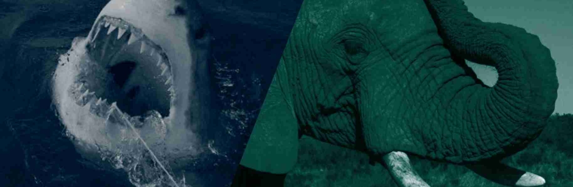 Oceans Research Institute Cover Image