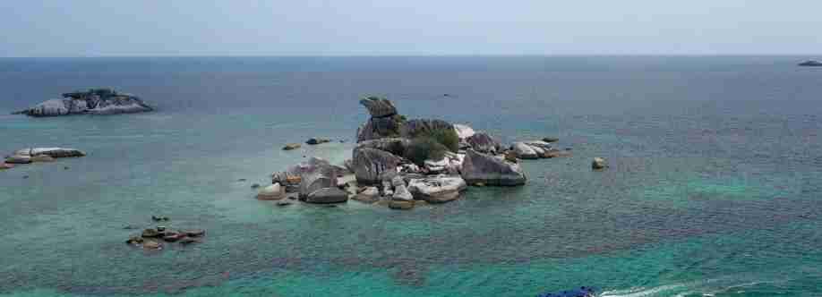 Anex Tour India Cover Image