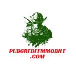 Alaqsa Yeldis Profile Picture