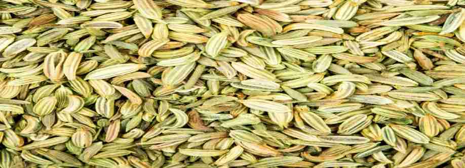 Sadbhaav Global Impexx Llp Cover Image