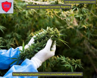 What Patients Should Know About the Minnesota Medical Cannabis Registry? - Article BloggingArena