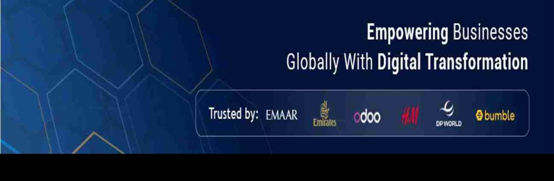 Junkies Coder Cover Image