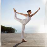 Wego6PrisResultatDK profile picture