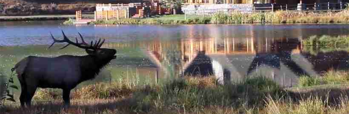 Evergreen Colorado Cover Image