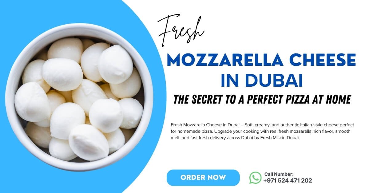 Fresh Mozzarella Cheese Dubai – Perfect Pizza Secret