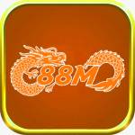 88M info Profile Picture