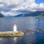 Globe Sim Profile Picture