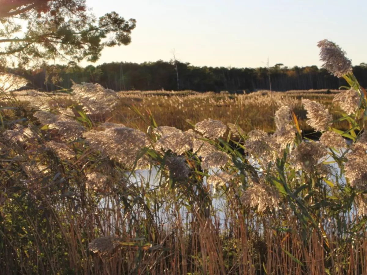 Toms-river Personal Injury Lawyer | Car Accidents, Truck Accidents, Motorcycle Accidents, Slip & Fall | Brandon J Broderick