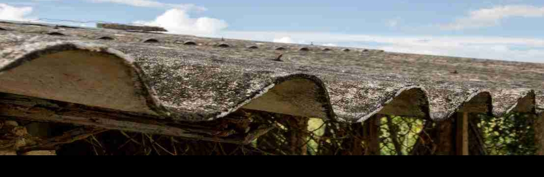 Ledbury Surveys Ltd Cover Image