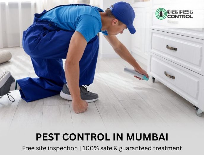 Best Pest Control in Mumbai, Trusted Services, Free Inspection