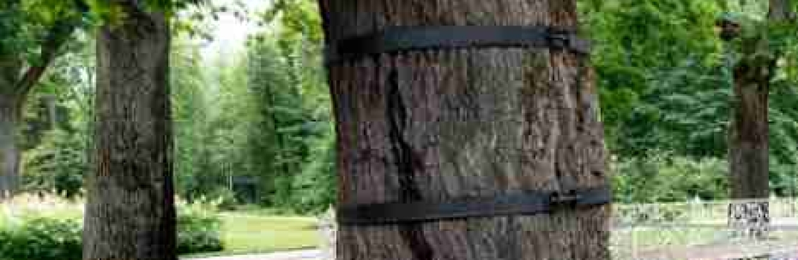 Trusty Tree Services Cover Image