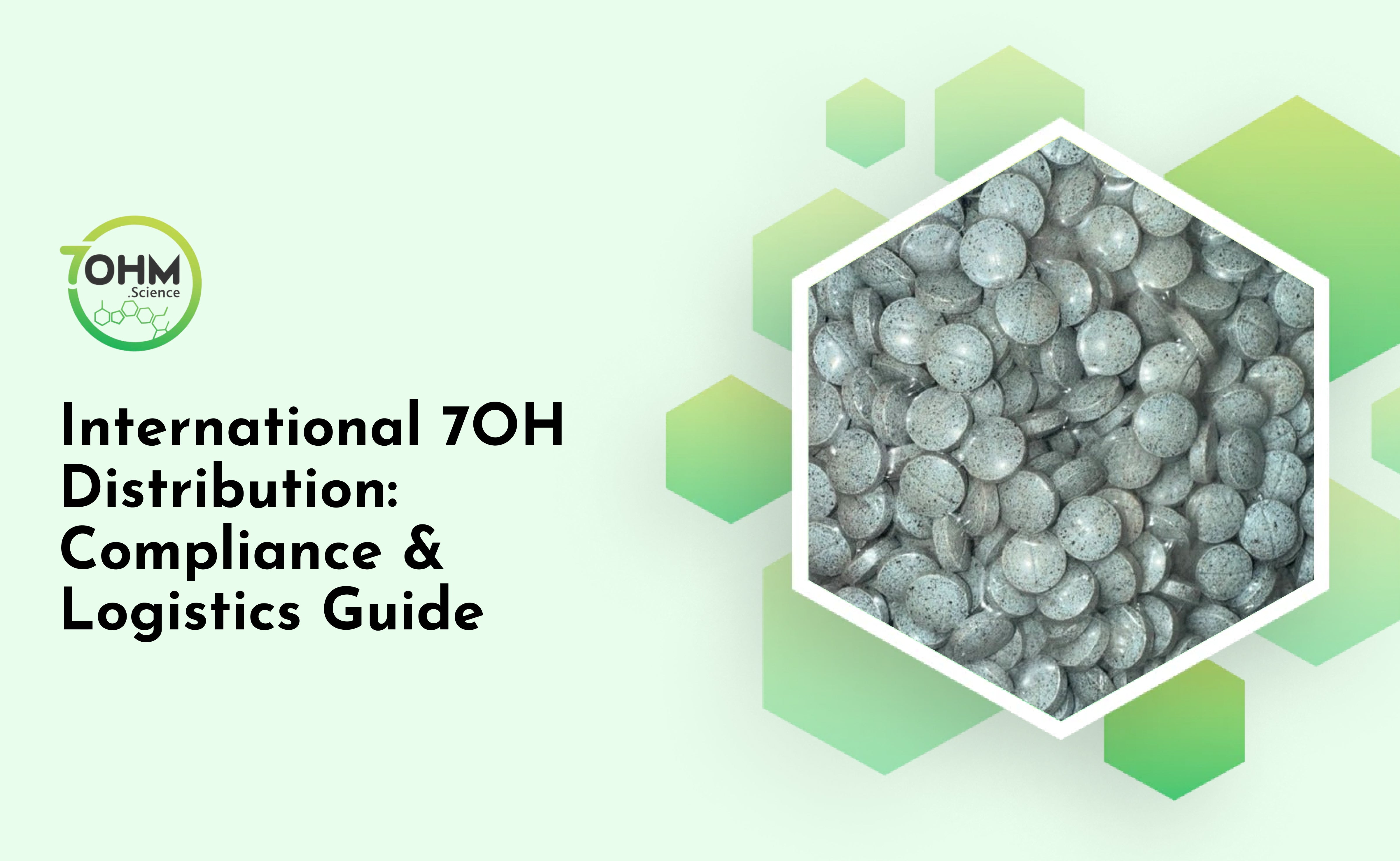 International 7OH Distribution: Compliance & Logistics Guide  – My Store